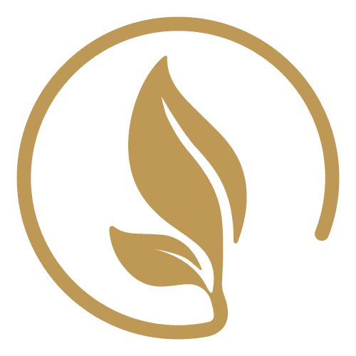 JAAC, Jocelyne Arseneault Agence de Consultations inc.