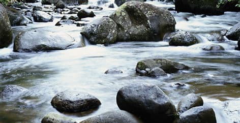 Hamilton Health & Wellness Centre gallery image 5