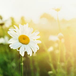 Julie-Soleil Therapeutic Hypnosis