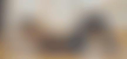 Pilates Anywhere.co gallery image 5