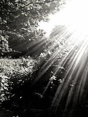 Reflections Counselling and Psychotherapy Services gallery image 5