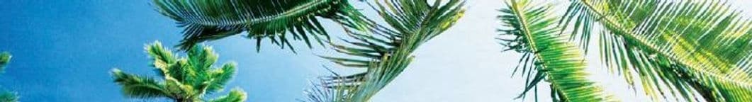 Bellaire Meditation gallery image 1