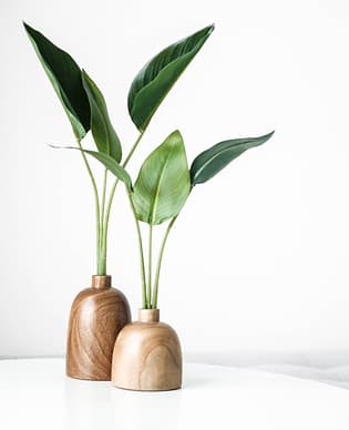 Mindful Empowerment Psychotherapy gallery image 4