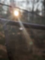 Horizenz Registered Massage Therapy gallery image 2