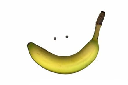 Maude Fournier Nutritionniste