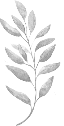 Nirvana Counselling Lounge, White Rock, BC gallery image 3