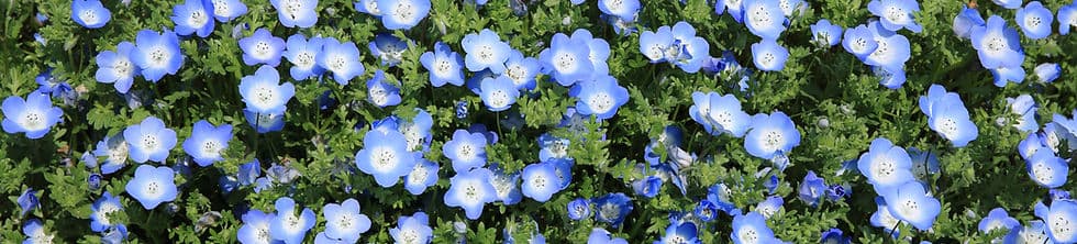 Telford House gallery image 2