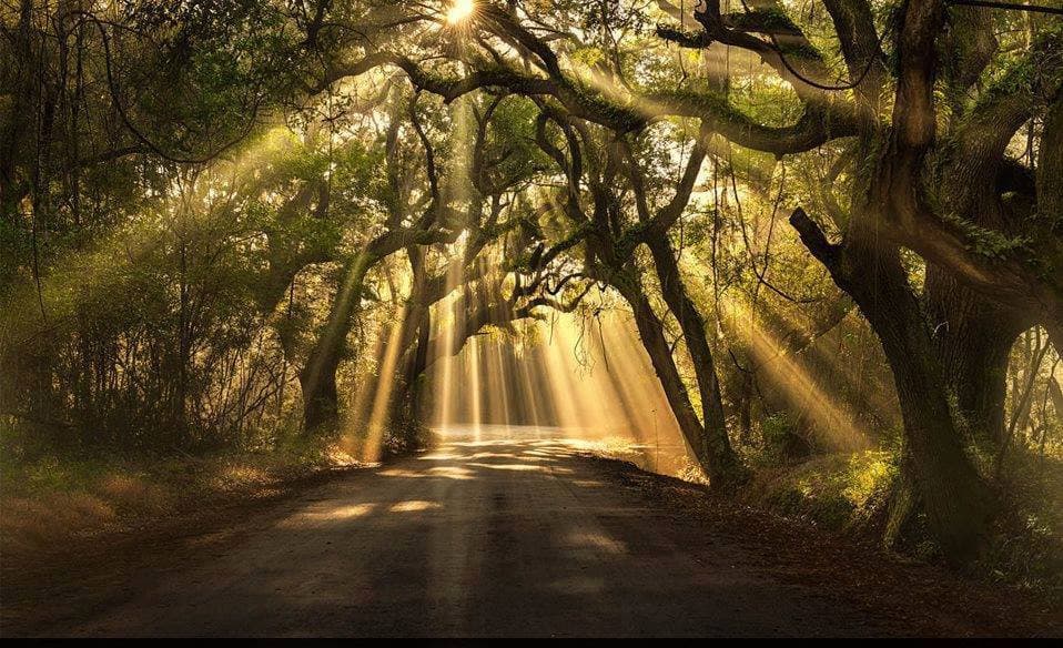 Hypnose & Vous Québec