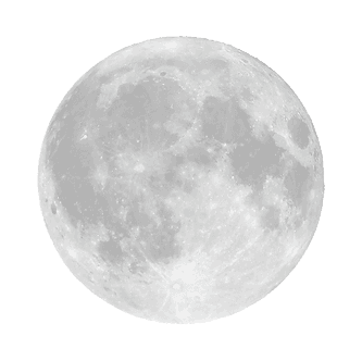 Dr. Sara Duban TCM & Acupuncture