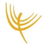 Jocelyne Bourget M.PS., Psychologue gallery image 5