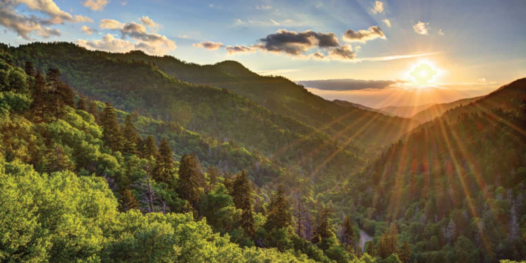 Jocelyne Bourget M.PS., Psychologue gallery image 1