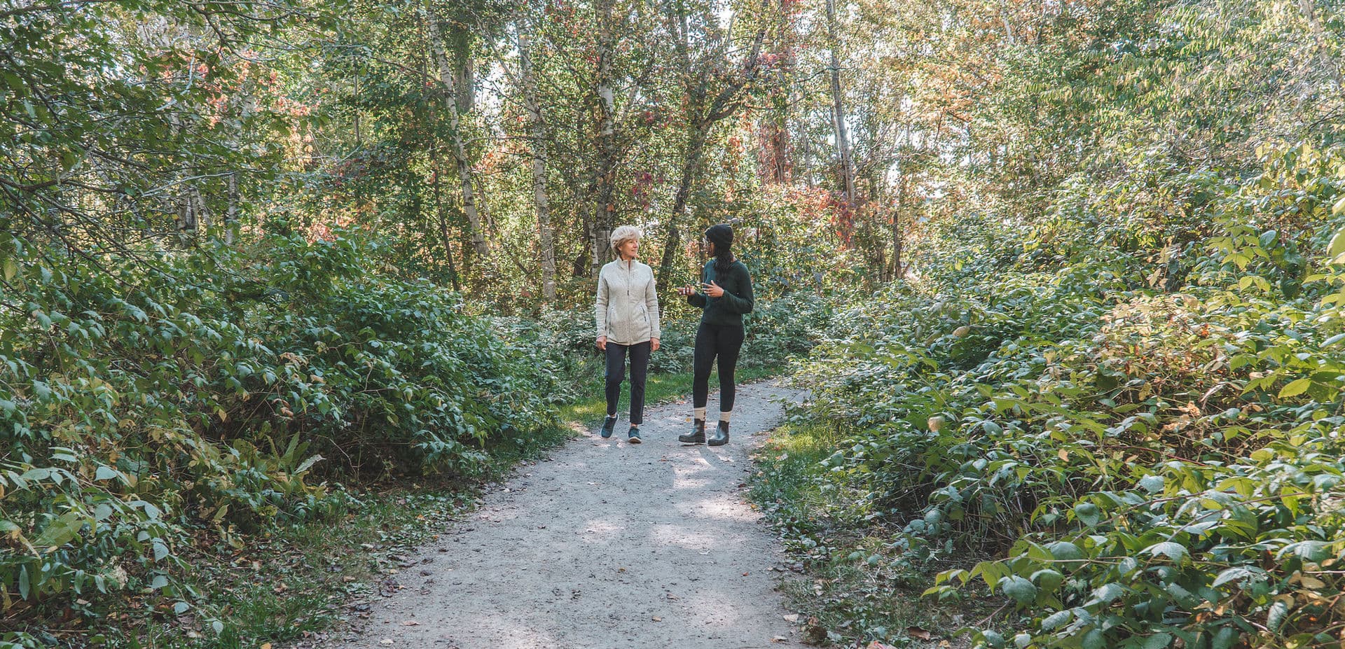 Institut Évolution Collective gallery image 4