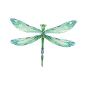 Mind Body Spirit Holistic logo