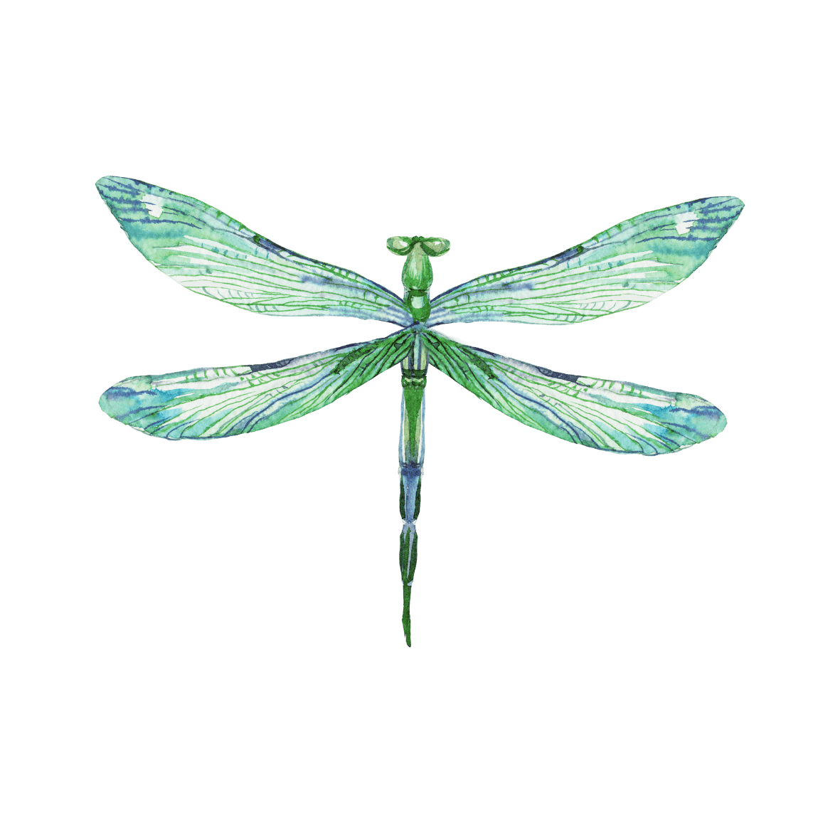 Mind Body Spirit Holistic