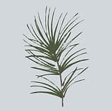 White Pine Psychology (formerly Dr. Carmen Weiss & Associates) gallery image 4