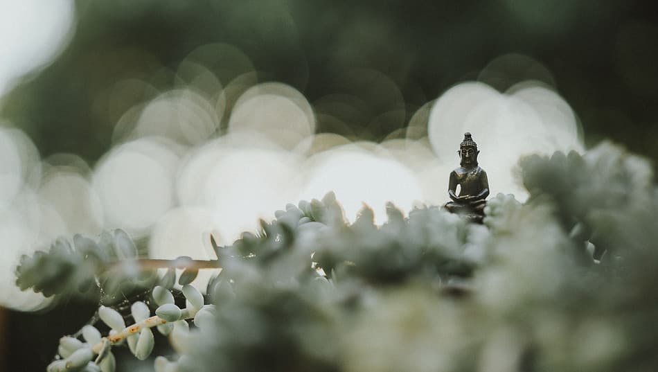 Hypno-Soi gallery image 3