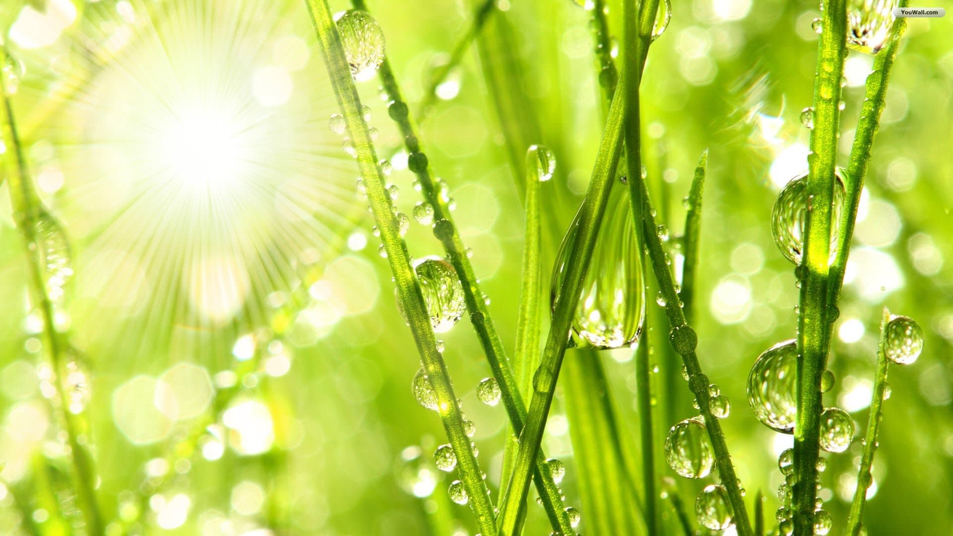 Clinique de Naturopathie et Hydrothérapie du Côlon