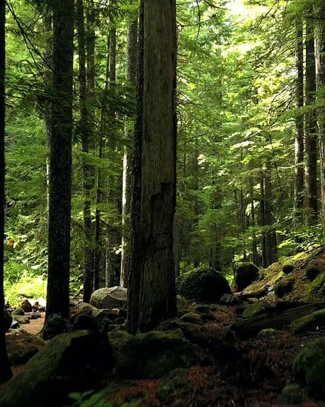 Hypnoce, Services d'Hypnothérapie gallery image 2