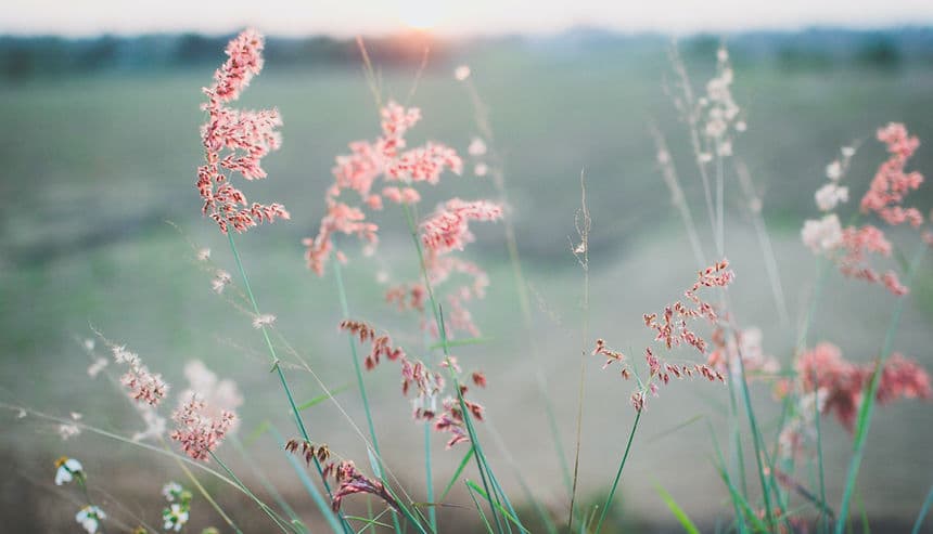 Charmaine Abey Counselling & Psychotherapy gallery image 2