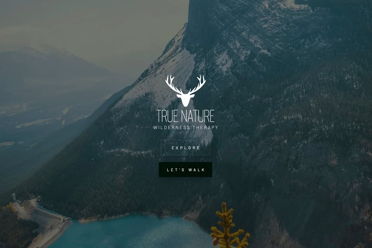 True Nature Wilderness Therapy