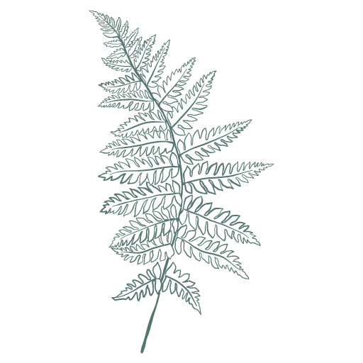 Vancouver Island Holistic Counselling