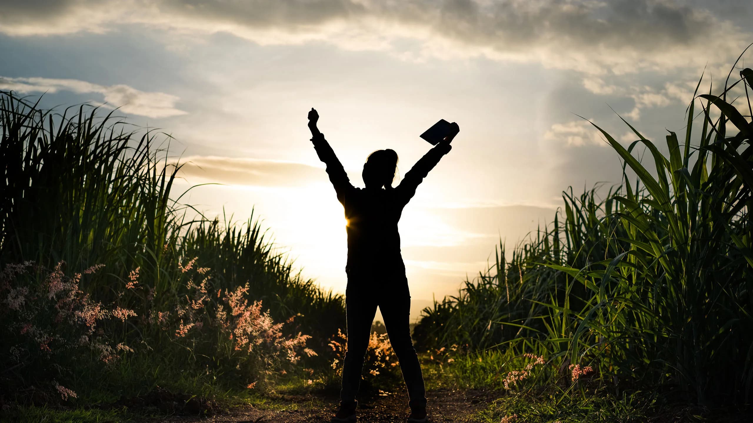 Wise Path Counselling gallery image 2