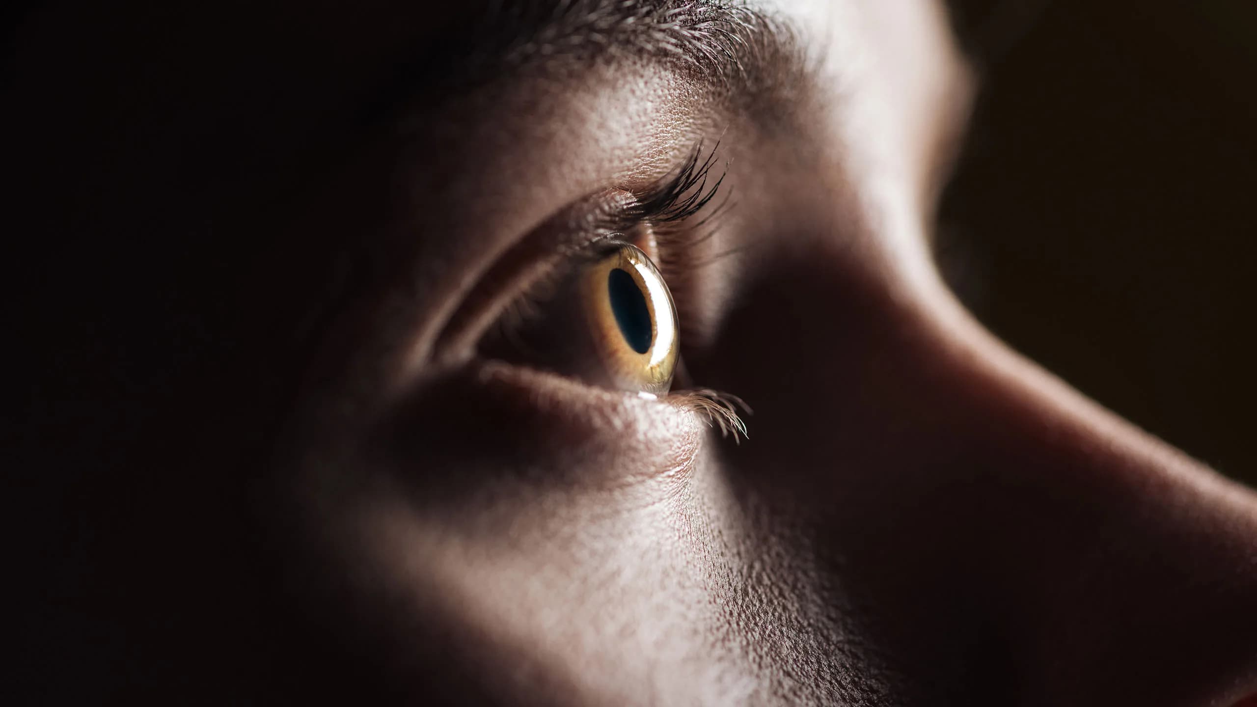 Wise Path Counselling gallery image 4